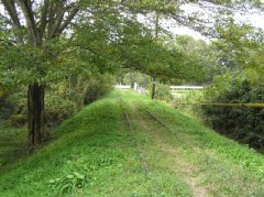 �����S�� ����ސ�